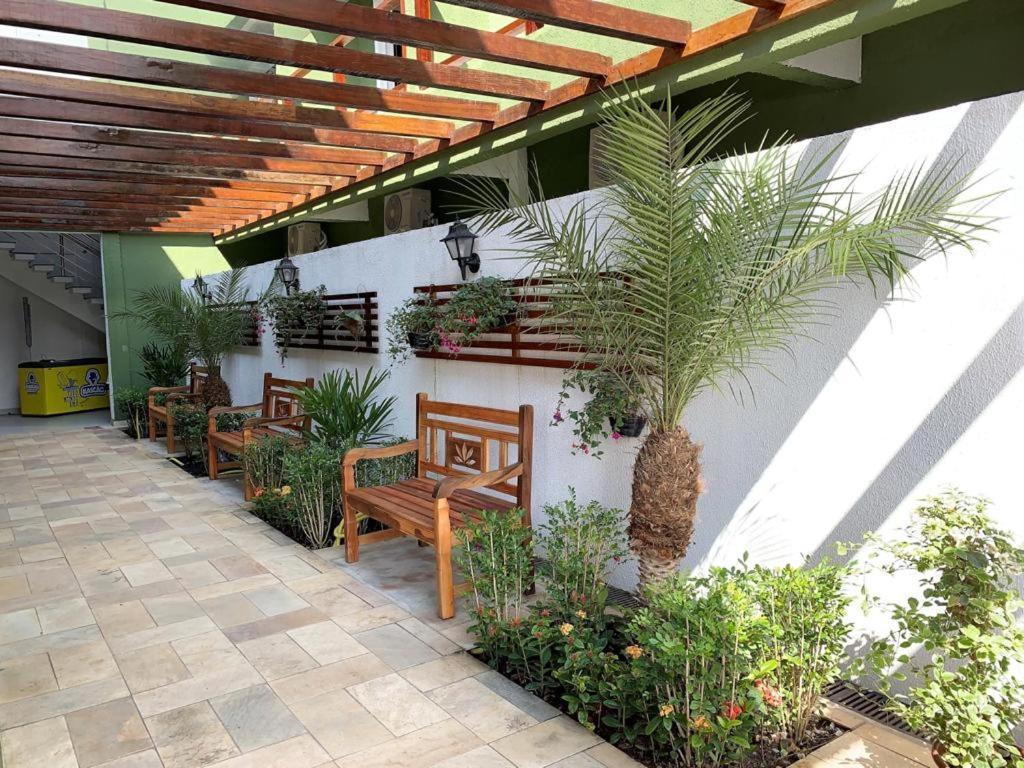 Cajueiro Guaruja